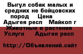 Выгул собак малых и средних не бойцовских пород. › Цена ­ 100 - Адыгея респ., Майкоп г. Животные и растения » Услуги   . Адыгея респ.